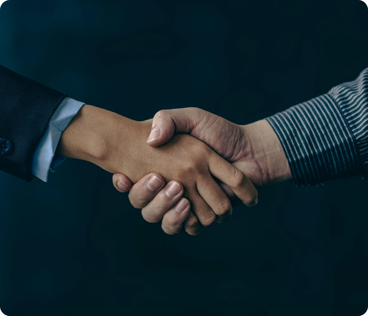 Professional greeting handshake